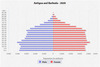 population pyramid