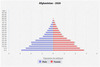 population pyramid