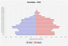 population pyramid