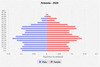 population pyramid