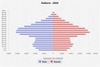 population pyramid