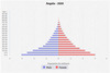 population pyramid
