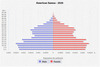 population pyramid