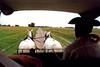 A Gaucho (Argentine cowboy) driving a carriage across the pampas. The pampas are a vast, fertile lowland plain found mostly in Argentina, but extending into Uruguay and southernmost Brazil. Vegetation is predominantly composed of grasses; trees are scattered or even absent in places. Important for cattle ranching and farming, the region contains rich topsoils that in places are up to 300 m (1,000 ft) in depth.