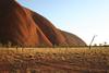 Sunrise highlights the sweeping curves of Uluru / Ayers Rock.