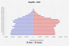 population pyramid
