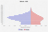 population pyramid