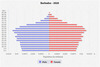 population pyramid