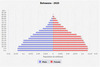 population pyramid