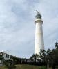 Gibbs Hill Lighthouse, built in 1846, is the oldest cast-iron lighthouse in the world.
