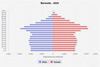 population pyramid
