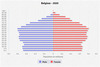 population pyramid