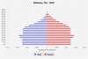 population pyramid