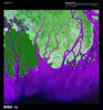 The Ganges River forms the largest tide-dominated delta in the world where it empties into the Bay of Bengal. This false-color satellite image vividly displays the large amount of sediment (violet), carried from as far away as the Himalayas, that precipitates when it abruptly encounters the sea. The delta is largely covered with a swamp forest known as the Sunderbans, which is home to the Royal Bengal Tiger. Image courtesy of USGS.