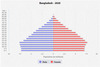 population pyramid