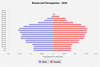 population pyramid