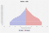 population pyramid