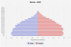 population pyramid