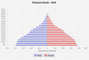 population pyramid