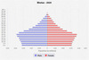 population pyramid