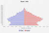 population pyramid