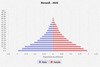 population pyramid