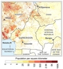 Cameroon