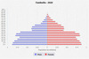 population pyramid