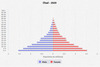 population pyramid
