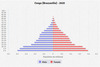 population pyramid