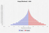 population pyramid