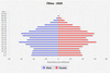 population pyramid