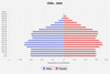population pyramid