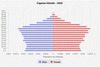 population pyramid