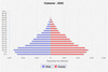 population pyramid