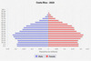 population pyramid