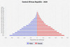 population pyramid