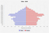 population pyramid