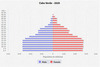 population pyramid