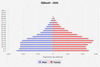 population pyramid
