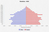 population pyramid