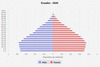 population pyramid