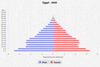 population pyramid