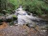 Mountain stream below the Torc Waterfall in County Kerry.