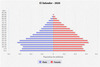 population pyramid