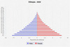 population pyramid