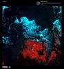 Ethereal swirls of grease ice appear turquoise against the midnight blue of the northern Baltic Sea in this false-color satellite image taken over the Aland Islands (red) between Finland and Sweden. The second stage of sea ice formation, grease ice consists of a viscous mix of tiny ice crystals and resembles an oil slick on the ocean's surface. Wind and currents constantly shape and reshape grease ice into surreal, ghostly patterns. Image courtesy of USGS.