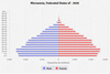 population pyramid