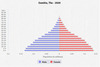 population pyramid