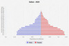 population pyramid